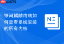 银河麒麟终端如何查看系统安装的所有内核
