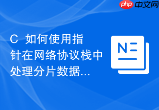 c++如何使用指针在网络协议栈中处理分片数据