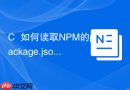 c++如何读取npm的package.json