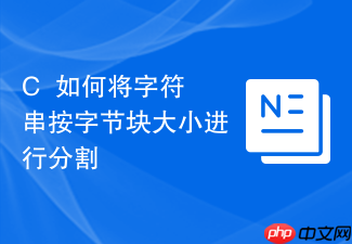 c++如何将字符串按字节块大小进行分割