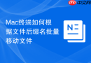 mac终端如何根据文件后缀名批量移动文件