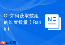 C++如何获取数组的维度数量（Rank）