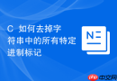 C++如何去掉字符串中的所有特定进制标记