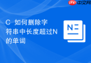 C++如何删除字符串中长度超过N的单词