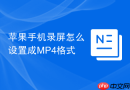 苹果手机录屏怎么设置成MP4格式