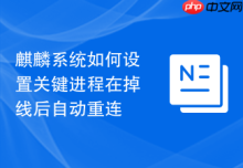 麒麟系统如何设置关键进程在掉线后自动重连