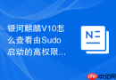 银河麒麟V10怎么查看由Sudo启动的高权限进程