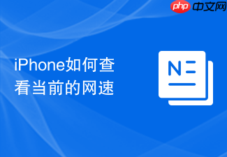 iphone如何查看当前的网速