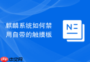 麒麟系统如何禁用自带的触摸板