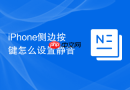 iPhone侧边按键怎么设置静音