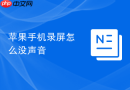 苹果手机录屏怎么没声音