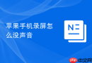 苹果手机录屏怎么没声音