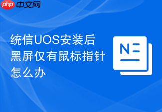 统信uos安装后黑屏仅有鼠标指针怎么办