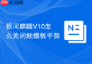 银河麒麟V10怎么关闭触摸板手势