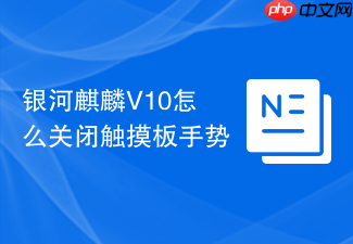 银河麒麟v10怎么关闭触摸板手势