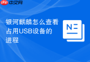 银河麒麟怎么查看占用USB设备的进程