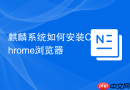 麒麟系统如何安装Chrome浏览器