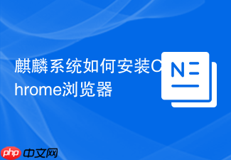麒麟系统如何安装chrome浏览器