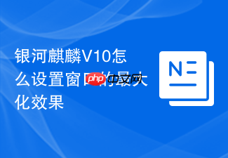 银河麒麟v10怎么设置窗口的最大化效果