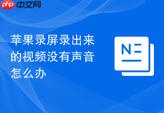 苹果录屏录出来的视频没有声音怎么办