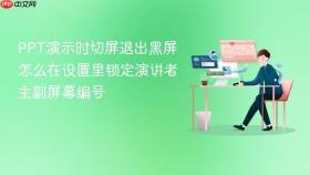 ppt演示时切屏退出黑屏怎么在设置里锁定演讲者主副屏幕编号