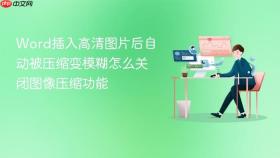 Word插入高清图片后自动被压缩变模糊怎么关闭图像压缩功能