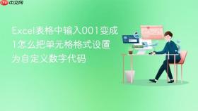 Excel表格中输入001变成1怎么把单元格格式设置为自定义数字代码