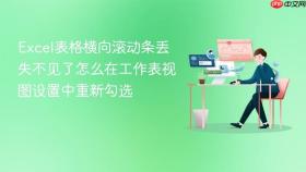Excel表格横向滚动条丢失不见了怎么在工作表视图设置中重新勾选