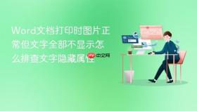 Word文档打印时图片正常但文字全部不显示怎么排查文字隐藏属性