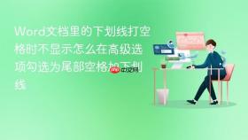word文档里的下划线打空格时不显示怎么在高级选项勾选为尾部空格加下划线