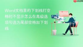 Word文档里的下划线打空格时不显示怎么在高级选项勾选为尾部空格加下划线