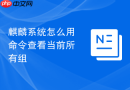 麒麟系统怎么用命令查看当前所有组