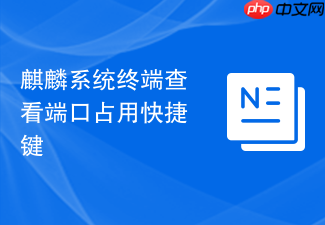 麒麟系统终端查看端口占用快捷键