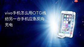 vivo手机怎么用OTG线给另一台手机应急反向充电