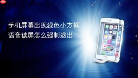 手机屏幕出现绿色小方框语音读屏怎么强制退出
