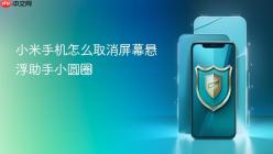 小米手机怎么取消屏幕悬浮助手小圆圈