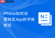 iPhone如何设置特定App的字体样式