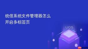 统信系统文件管理器怎么开启多标签页