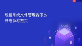 统信系统文件管理器怎么开启多标签页
