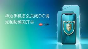 华为手机怎么关闭DC调光和防频闪开关