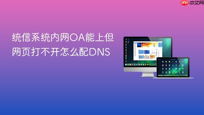 统信系统内网oa能上但网页打不开怎么配dns