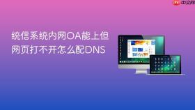 统信系统内网oa能上但网页打不开怎么配dns
