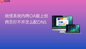统信系统内网OA能上但网页打不开怎么配DNS