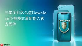 三星手机怎么进Download下载模式重新刷入官方固件