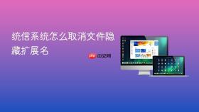 统信系统怎么取消文件隐藏扩展名