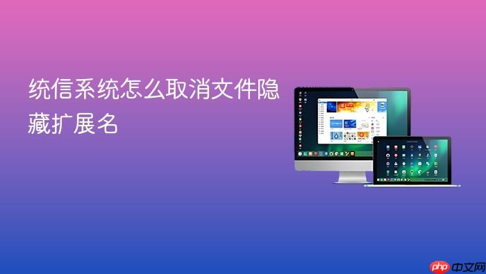 统信系统怎么取消文件隐藏扩展名