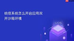 统信系统怎么开启应用双开沙箱环境