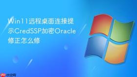 Win11远程桌面连接提示CredSSP加密Oracle修正怎么修