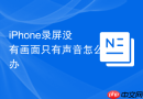 iPhone录屏没有画面只有声音怎么办