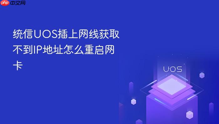 统信uos插上网线获取不到ip地址怎么重启网卡